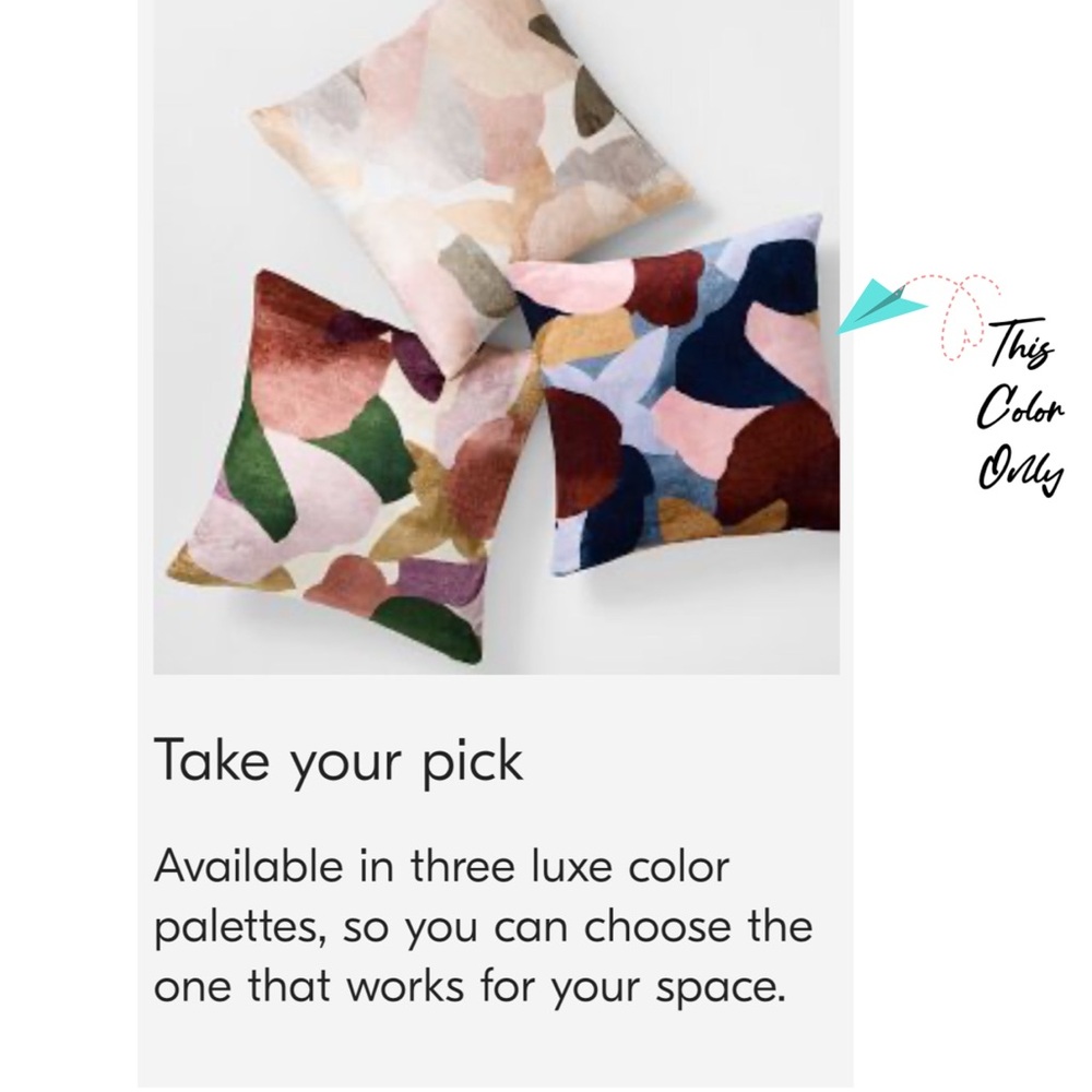 West Elm Modern Abstract Floral Pillow Cover - Picture 3 of 13